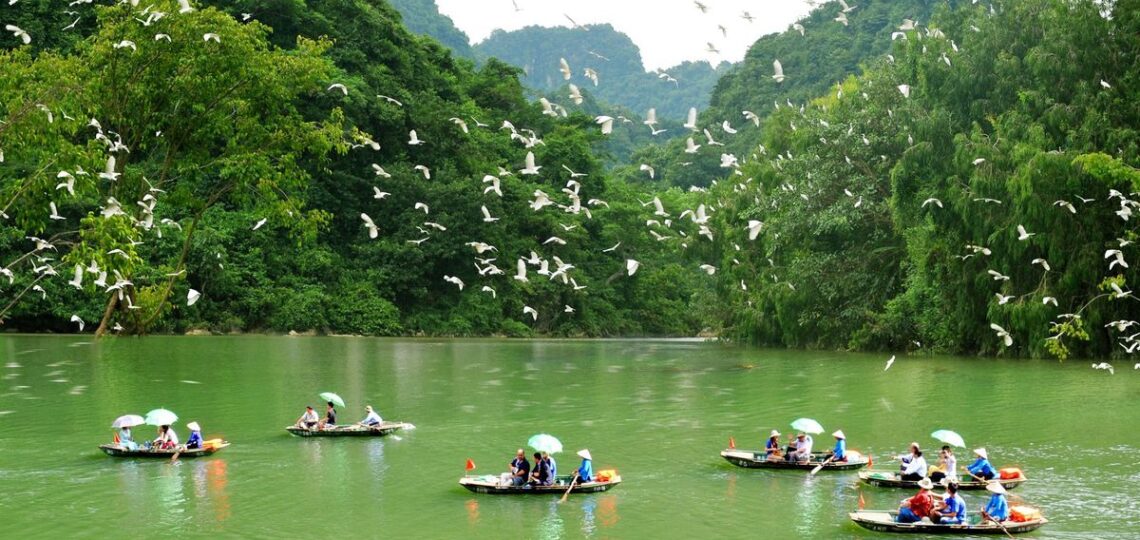 Vuon Chim Thung Nham Lac Vao Vuong Quoc Cac Loai Chim O Ninh Binh 03 1640682926