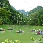 Vuon Chim Thung Nham Lac Vao Vuong Quoc Cac Loai Chim O Ninh Binh 03 1640682926