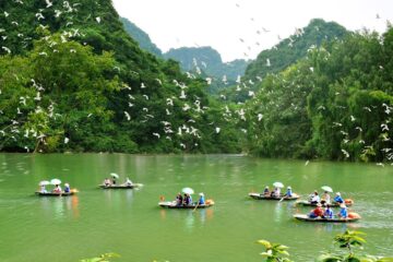 Vuon Chim Thung Nham Lac Vao Vuong Quoc Cac Loai Chim O Ninh Binh 03 1640682926